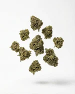 Poppy Green Sour CBD - Imagen 2