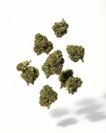 Full Pack CBD - Imagen 7