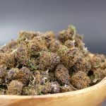 Purple Haze minis ¡2×1!
