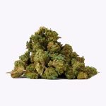 5 GR – Ed. limitada PURPLE - Imagen 2