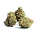Flor de CBD Amnesia - Imagen 2