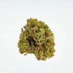 TINY GEMS CBD - Imagen 3
